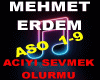 MEHMET ERDEM