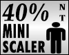 Mini Scaler 40%