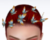 Equinox Head Butterflies