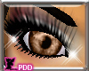 (PDD)Eyes-Brownies
