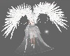 Angel wings white