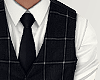 ✖ Suit Vest.