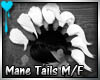 D~Mane Tails: White