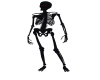 Black skeleton