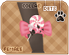 [Pets] Phar | wrist bow