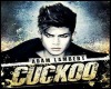 Cuckoo - Adam Lambert