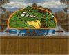 Gator Country