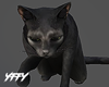Realistic Animated Cat