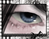 IRIS / blue