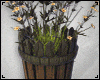 Flower Pots 4