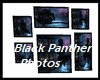 black panther photos