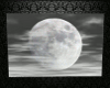 Animated Moon Picture Wt