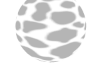 cow print dance bubble