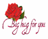  rose hug 