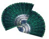 Peacock Wall fans