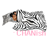 Blanket Zebra Lover
