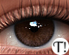 T! Beauty Eyes 18