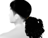 Ponytail Hairstyle