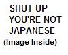 You're Not Japanese