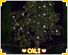 " Enchanted Tree