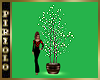 Decorator Tree & Lights