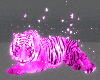 Pink Fairy Tiger