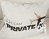 Dream Private Jet Pillow