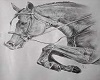 Drawings horse