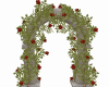 Tuscany Arch Roses Red