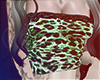 Cheeta v5