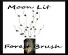 Moon Lit Forest Brush