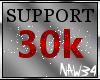 30k Support