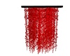 {LS} Red Vines