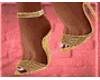 Tango Shoes Gold