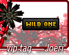 j| Wild One