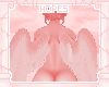 ☼ Cupid | Wings
