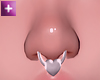 heart nose septum S