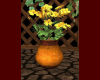 *Plant Sweety Yellow