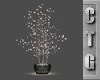 CTG WINTERS DAY TREE/LHT