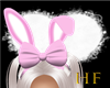 ^HF^ Bunny Ears w/ Bow