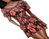 Red Flower Skirt/Top