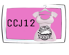 𝓥.  CCJ12