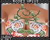 V4NY|Roses XPlus