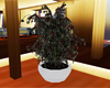 (IKY2) POTTED TREE 2