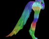 Rainbow Lupus tail/SP