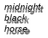 midnight black horse