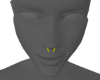 Golden Nose Pin