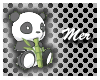 [M] Cute Panda