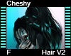 Cheshy Hair F V2