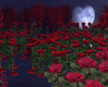Night of Roses Valentine